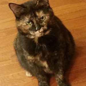 Meet your Posher, Nancy